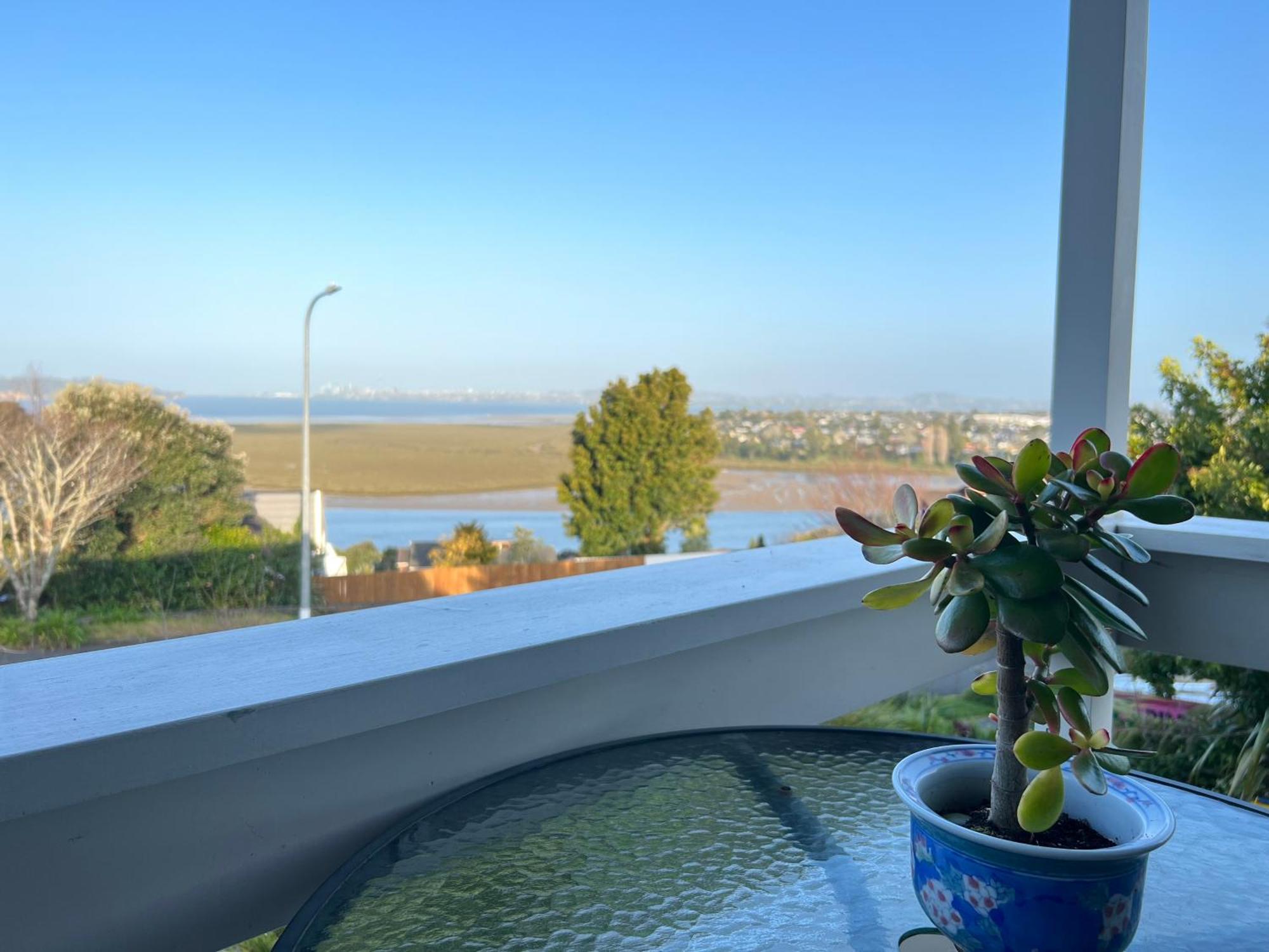 Auckland Sea&Skytower View Homestay With Free Netflix, Parking Exterior foto